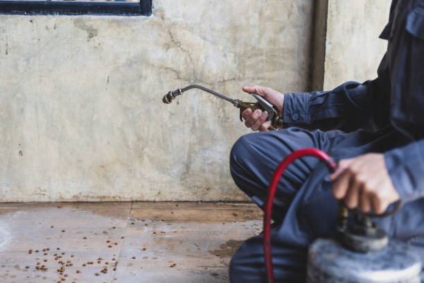 Best Exterminator Services  in Cave Springs, AR
