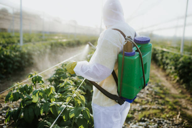 Trusted Cave Springs, AR Pest Control Experts